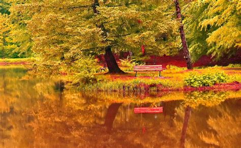 Bench in autumn park wallpaper | nature and landscape | Wallpaper Better