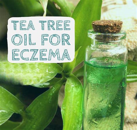 What Are The Best Essential Oils For Eczema Care? - Eczema Living