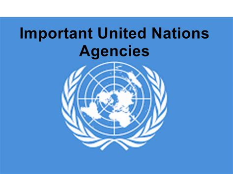 Important United Nations Agencies