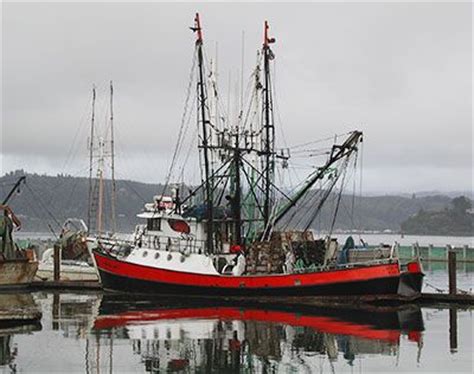 Oregon coast commercial fishing boat. Take me away for a day to fish "big time" Google Image ...