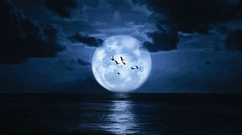 Dark Moon Wallpapers - Top Free Dark Moon Backgrounds - WallpaperAccess