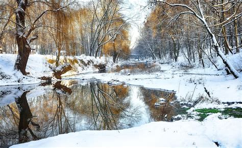 Premium Photo | Winter landscape by a river