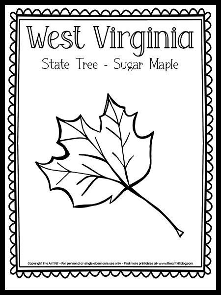 West Virginia State Tree Coloring Page (Sugar Maple!) {FREE Printable!} - The Art Kit Senior ...