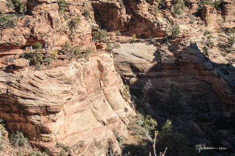 Share our Photos: Canyon Overlook Trail