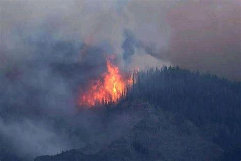 Forest Fire In North Kashmir’s Baramulla – Kashmir Observer