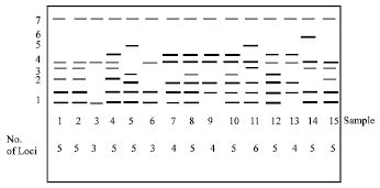 Isozyme analysis of seedling samples in some species of Hyoscyamus from ...