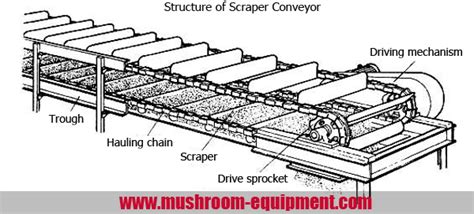 mushroom equipment,mushroom equipment,growing mushrooms indoors: What Is a Scraper Conveyor?