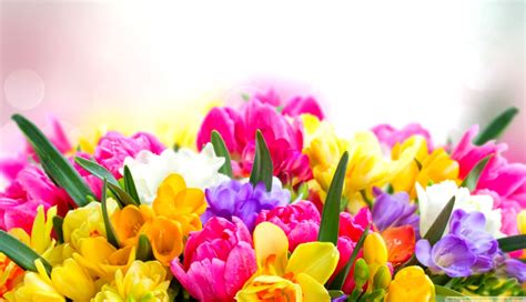 🔥 Download Desktop Wallpaper Spring Flowers Background Pictures by ...