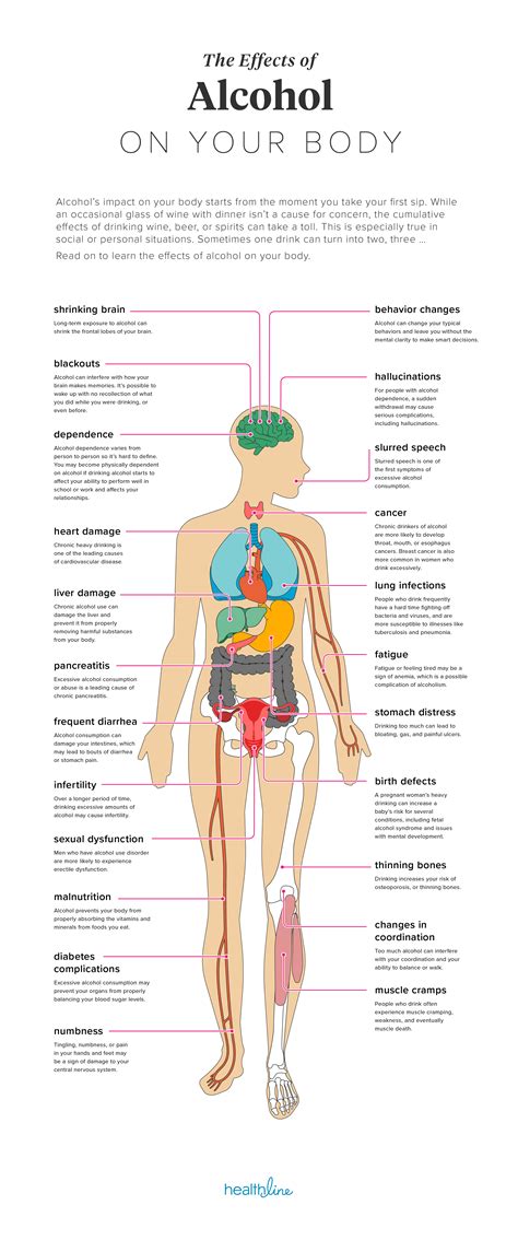 The Effects of Alcohol on Your Body – Alcohol Awareness