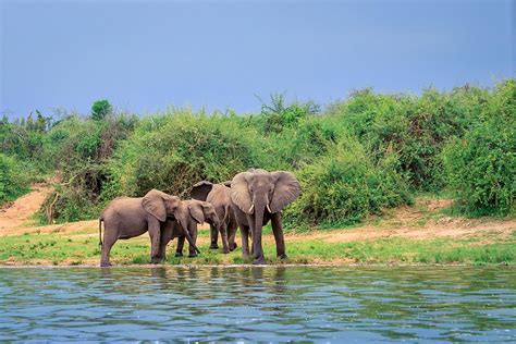 The Largest Lakes in Africa - WorldAtlas