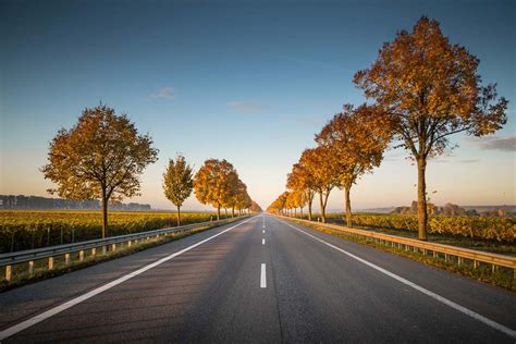 Highway Long Straight Road With Trees On The Side Nature Image Free Photo