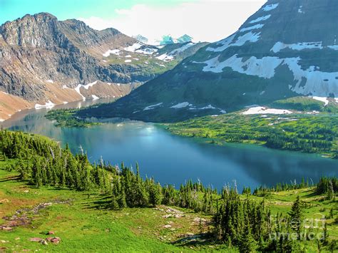 Hidden Lake Glacier National Park Photograph by Benny Marty - Pixels