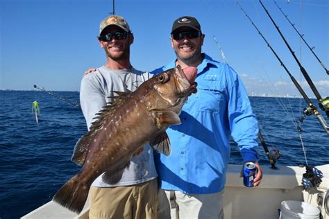 Snowy Grouper Fishing