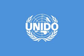 UNIDO to empower 500,000 Nigerian SMEs with skills - Punch Newspapers