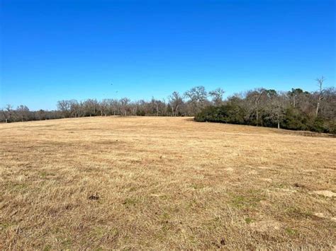 63.99 acres in Leon County, Texas - Circle T Realty Centerville TX ...