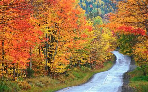 12 Beautiful Maine Fall Foliage Destinations