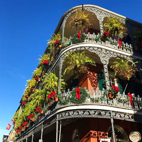 What to do in New Orleans, Louisiana | New orleans christmas, New orleans travel, Louisiana travel