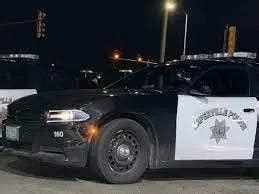 6 Arrested After Fight Outside Naperville Restaurant: Report | Naperville, IL Patch