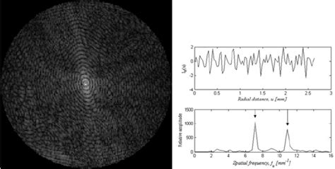 Fraunhofer diffraction pattern of the microscopic character with zero... | Download Scientific ...