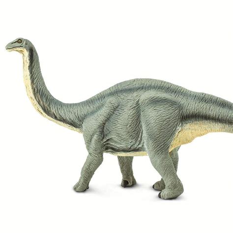 Apatosaurus - Grandrabbit's Toys in Boulder, Colorado