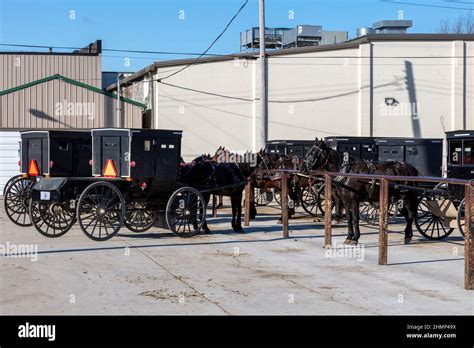 Amish, amish buggys, parked, downtown, Topeka, Indiana, USA, by James D Coppinger/Dembinsky ...