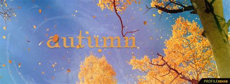 Free Fall Facebook Covers for Timeline, Pretty Autumn Season Timeline Covers for Facebook