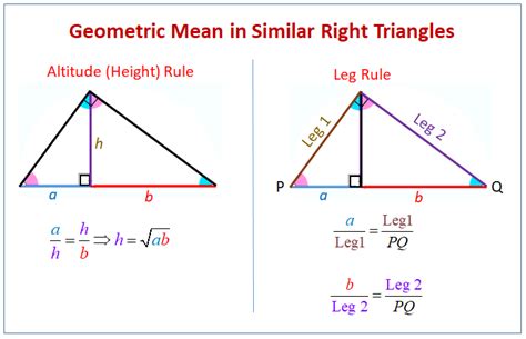 42 similar right triangles worksheet - Worksheet For Fun