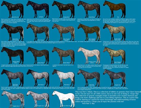 44++ Horse breed list with pictures info | runninghorsephoto