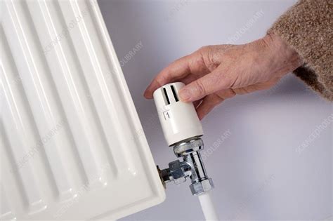 Adjusting a Thermostatic Radiator Valve - Stock Image - C018/0923 - Science Photo Library