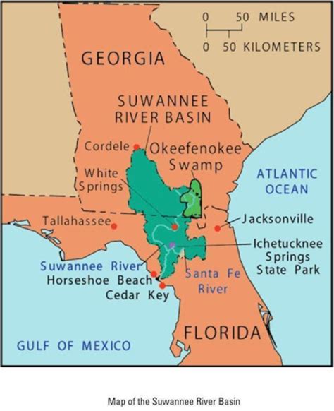 The Okefenokee Swamp, A Special Place - HubPages