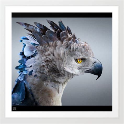 Hippogriff Art Print by tony_eight - X-Small | Art prints, Art ...