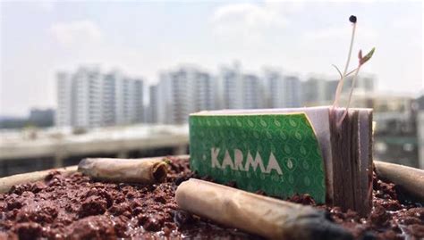 These Biodegradable Cigarette Filters Will Grow Into a Tree - Goodnet