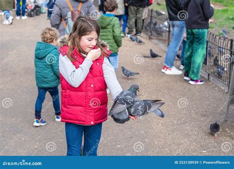 Feeding Pigeons in the Park. Girl Feeds Pigeons in London Park Stock Image - Image of animal ...