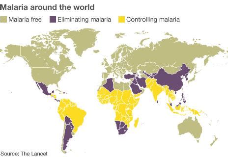 Malaria deaths hugely underestimated - Lancet study - BBC News