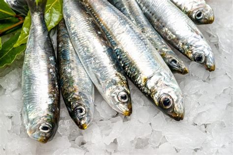 SARDINES Fraîche BRETAGNE (Les 100gr)