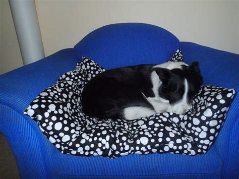 Giant Comfy Pillow Pet Bed | DIYIdeaCenter.com