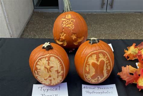 Winners of 2022 pumpkin-carving contests announced | VUMC Voice