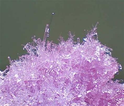 Pick a Science Project from Its Picture | Growing crystals, Crafts, Diy crystals