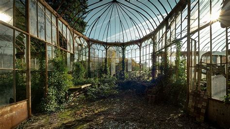 Greenhouse 1080P, 2K, 4K, 5K HD wallpapers free download | Wallpaper Flare