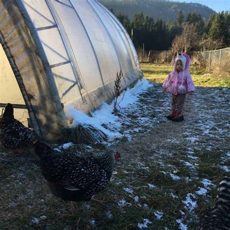 Unheated Winter Greenhouse Growing | Family Food Garden