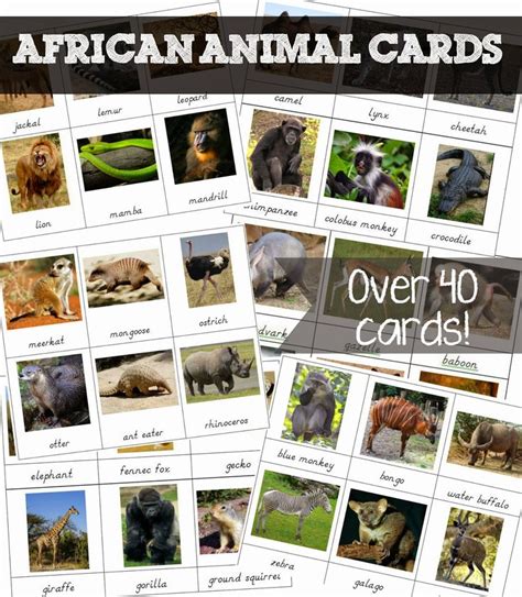 Free Printable African Animal Cards | Deti, Aktivity pre deti a Zvieratá