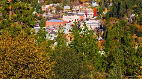 Eat Local in Placerville