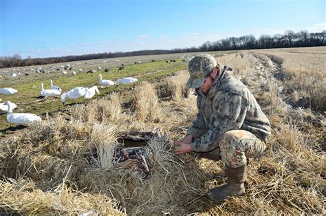 Full-camo, layout blinds or all-white are snow goose concealment options