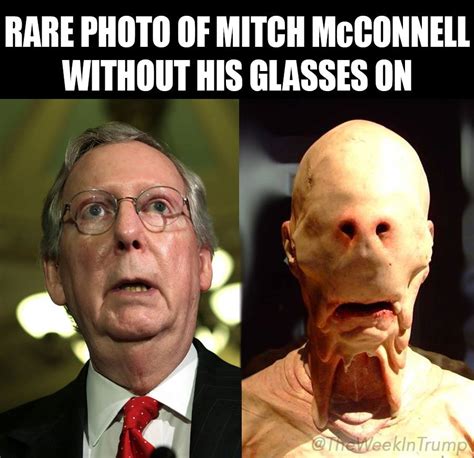 Mitch Mcconnell Memes / 2021 Gave Us Anew Frog Species And It Looks ...