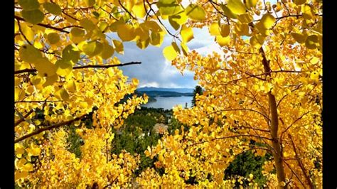 Here are the 9 best drives to see fall colors in Colorado | 9news.com