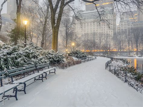 Central Park, New York City snow storm Stock Photo | Adobe Stock