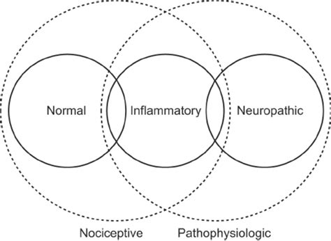 Pain terms. Nociceptive pain can be considered to include normal pain... | Download Scientific ...