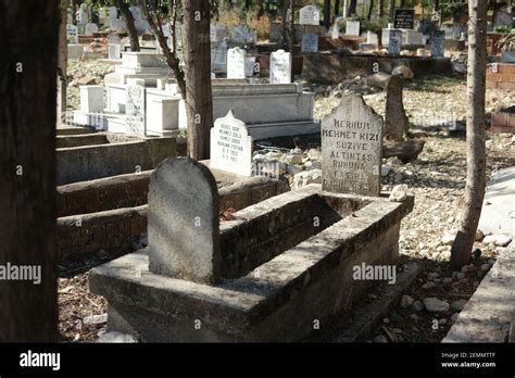 Old graveyard with an ancient tombstones Stock Photo - Alamy