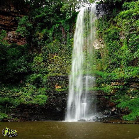 Hike at Giba Gorge - KwaZulu Natal - Zulu Kingdom