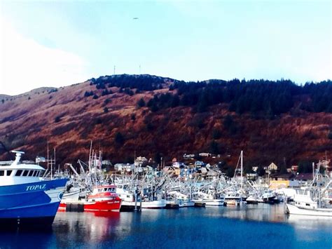 St. Paul Harbor, Kodiak Alaska 2016 | Kodiak alaska, Alaska, Kodiak